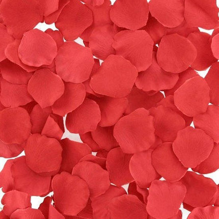 Red rose petals rozenblaadjes